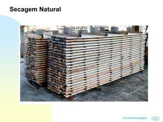 Ir p/ primeira página
Secagem Natural
 