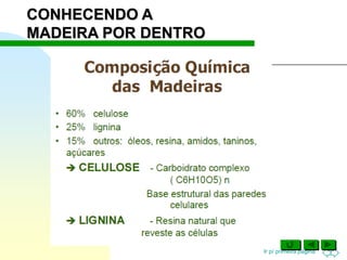 Ir p/ primeira página
CONHECENDO A
MADEIRA POR DENTRO
 