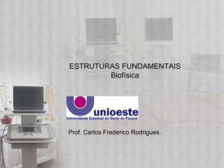 ESTRUTURAS FUNDAMENTAIS
        Biofísica




Prof. Carlos Frederico Rodrigues.
 