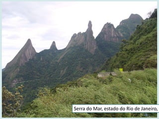 Serra do Mar, estado do Rio de Janeiro,
 