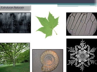 Estruturas modulares