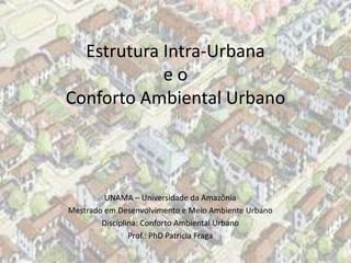Estrutura Intra-Urbana
            eo
Conforto Ambiental Urbano



         UNAMA – Universidade da Amazônia
Mestrado em Desenvolvimento e Meio Ambiente Urbano
        Disciplina: Conforto Ambiental Urbano
                Prof.: PhD Patrícia Fraga
 