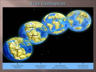 Estrututa geológica