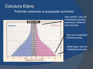 Estrutura EtáriaPirâmide crescente (a população aumenta)Topo estreito: taxa de mortalidade elevada; esperança média de vida reduzida.Taxa de mortalidade infantil elevada.Base larga: taxa de natalidade elevada; 
