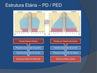 Estrutura Etária – PD / PED