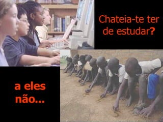 Chateia-te ter de estudar ? a eles não... 