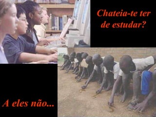 Chateia-te ter de estudar? A eles não... 