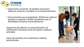 • Supervisión constante  posibles reacciones
adversas, lesiones o cambios en el comportamiento.
• Comunicación con el propietario Informar sobre el
proceso y cualquier cambio o problema que se
identifiquen durante el procedimiento.
Asegurarse de obtener el consentimiento y la
información necesaria antes de realizar cualquier
actividad.
Casos de animales con condiciones médicas
preexistentes.
 