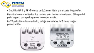 • Cuchilla Nº 7 y 7F  corte de 3,2 mm. Ideal para corte hogareño.
Permite hacer casi todos los cortes, aún las terminaciones. El largo del
pelo seguro para peluqueros sin experiencia.
La 7F pelo bien desanudado; pelaje enredado, la 7 tiene mejor
penetración.
 