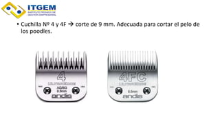 • Cuchilla Nº 4 y 4F  corte de 9 mm. Adecuada para cortar el pelo de
los poodles.
 