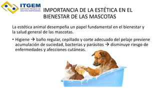 IMPORTANCIA DE LA ESTÉTICA EN EL
BIENESTAR DE LAS MASCOTAS
La estética animal desempeña un papel fundamental en el bienestar y
la salud general de las mascotas.
• Higiene  baño regular, cepillado y corte adecuado del pelaje previene
acumulación de suciedad, bacterias y parásitos  disminuye riesgo de
enfermedades y afecciones cutáneas.
 