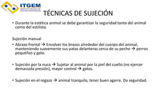 TÉCNICAS DE SUJECIÓN
• Durante la estética animal se debe garantizar la seguridad tanto del animal
como del estilista.
Sujeción manual
• Abrazo frontal  Envolver los brazos alrededor del cuerpo del animal,
manteniendo suavemente sus patas delanteras cerca de su pecho  perros
pequeños y gato.
• Sujeción por la nuca  Sujetar al animal por la piel del cuello (no ejercer
demasiada presión), mayor control  gatos.
• Sujeción en el regazo  animal tranquilo, tener buen agarre. Da seguridad.
 