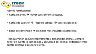 Uso de restricciones:
• Correa o arnés  mayor control y evita ecapes.
• Correa de sujeción  "lazo de cabeza”  control adicional.
• Bolsa de contención  animales más inquietos o agresivos.
Técnicas varían según temperamento y tamaño del animal. Siempre
tener en cuenta la comodidad y seguridad del animal, evitando ejercer
fuerza excesiva o causarle estrés.
 