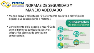 NORMAS DE SEGURIDAD Y
MANEJO ADECUADO
• Manejo suave y respetuoso  Evitar fuerza excesiva o movimientos
bruscos que causen estrés o malestar.
• Conocimiento de la especie y raza Cada
animal tiene sus particularidades y es importante
adaptar las técnicas de estética en
consecuencia.
 