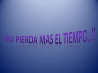 Estética canina (1)