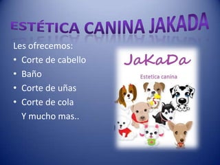 Les ofrecemos:
• Corte de cabello
• Baño
• Corte de uñas
• Corte de cola
  Y mucho mas..
 