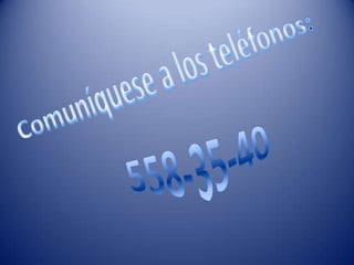 Estética canina (1)