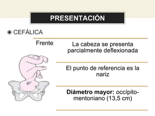 PRESENTACIÓN
◉ CEFÁLICA
Frente La cabeza se presenta
parcialmente deflexionada
El punto de referencia es la
nariz
Diámetro mayor: occípito-
mentoniano (13,5 cm)
 