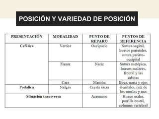 POSICIÓN Y VARIEDAD DE POSICIÓN
 