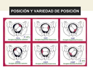 POSICIÓN Y VARIEDAD DE POSICIÓN
 
