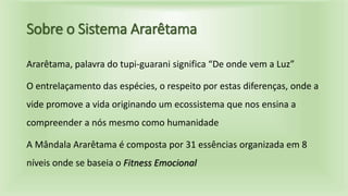 Sobre o Sistema Ararêtama
Ararêtama, palavra do tupi-guarani significa “De onde vem a Luz”
O entrelaçamento das espécies, o respeito por estas diferenças, onde a
vide promove a vida originando um ecossistema que nos ensina a
compreender a nós mesmo como humanidade
A Mândala Ararêtama é composta por 31 essências organizada em 8
níveis onde se baseia o Fitness Emocional
 