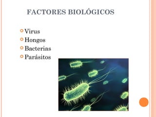 FACTORES BIOLÓGICOS
 Virus
 Hongos
 Bacterias
 Parásitos
 