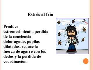 Estrés al fríoEstrés al frío
Produce
estremecimiento, perdida
de la conciencia
dolor agudo, pupilas
dilatadas, reduce la
fuerza de agarre con los
dedos y la perdida de
coordinación.
 