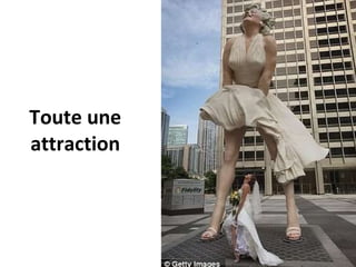 Toute une  attraction  