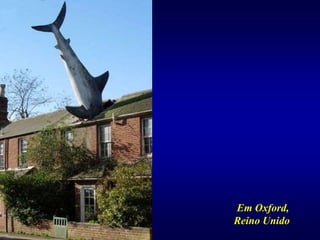Em Oxford,
Reino Unido
 