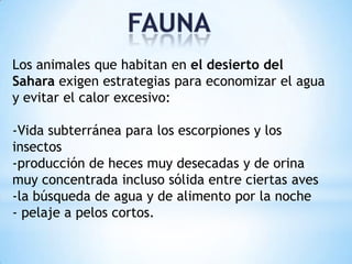 Los animales que habitan en el desierto del
Sahara exigen estrategias para economizar el agua
y evitar el calor excesivo:
-Vida subterránea para los escorpiones y los
insectos
-producción de heces muy desecadas y de orina
muy concentrada incluso sólida entre ciertas aves
-la búsqueda de agua y de alimento por la noche
- pelaje a pelos cortos.

 