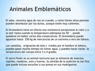Animales Emblemáticos
El adax, necesita agua de vez en cuando, y como tienen altas pezuñas
pueden deambular por las dunas, aunque estén muy calientes.
El Dromedario tiene en efecto una resistencia excepcional al calor y a
la sed: hasta cuando la temperatura sobrepasa los 50 °, puede
quedarse sin beber varios días consecutivos. El dromedario puede
aguantar hasta 250 kg de mercancías de un extremo a otro de Sahara.
Los camellos, originarios de Asia y traídos por el hombre al Sahara,
pueden pasar mucho tiempo sin tomar agua, y pueden hacer variar la
temperatura del cuerpo entre 3 o 4 grados.
El zorro Fenéc es un animal nocturno que se alimenta de insectos,
reptiles, roedores, aves y huevos. Su sentido de la audición es tan fino
que puede incluso escuchar a sus presas en sus madrigueras.

 