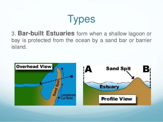 estuaries how do estuaries form