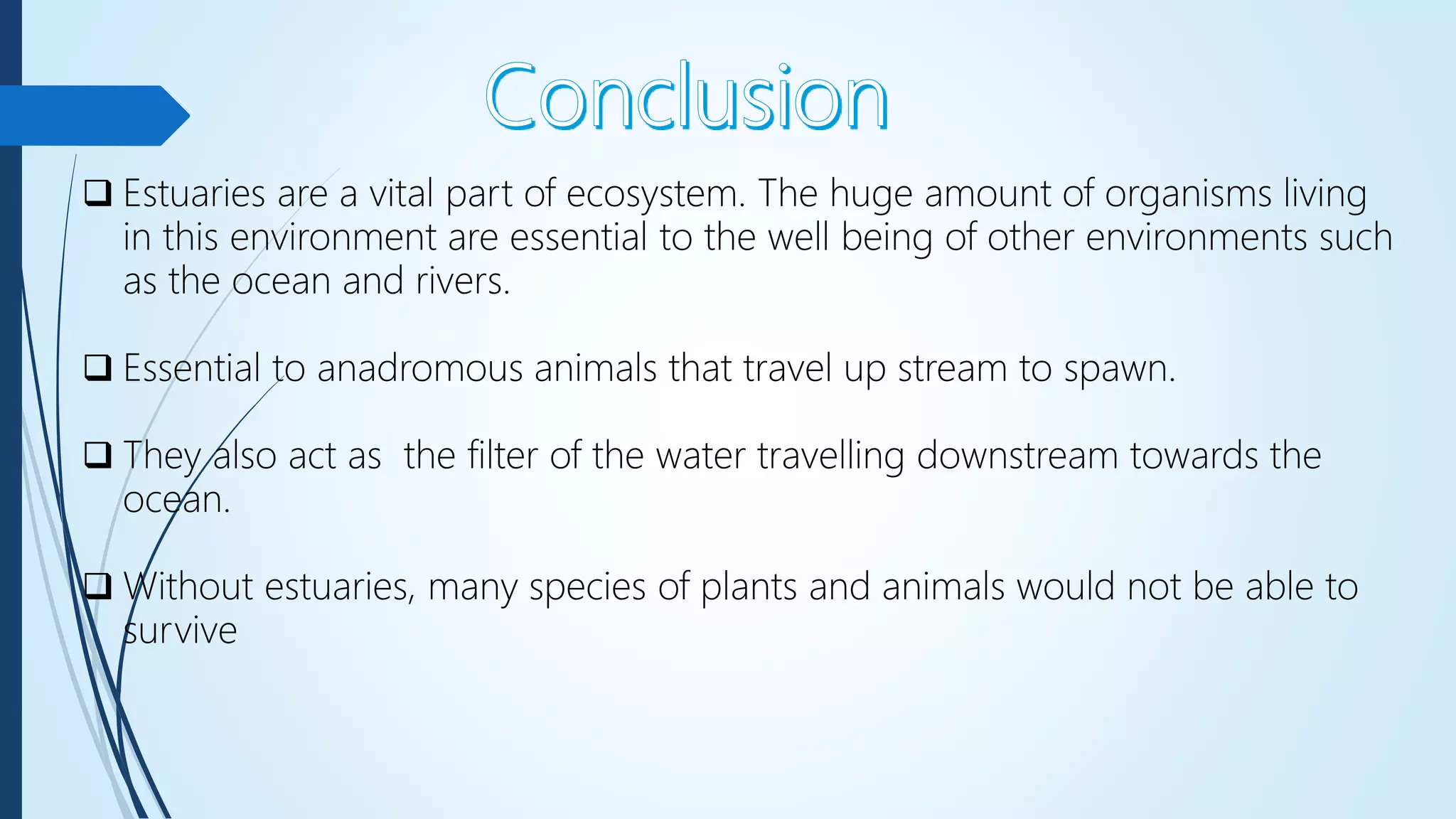  Estuaries are a vital part of ecosystem. The huge amount of organisms living
in this environment are essential to the well being of other environments such
as the ocean and rivers.
 Essential to anadromous animals that travel up stream to spawn.
 They also act as the filter of the water travelling downstream towards the
ocean.
 Without estuaries, many species of plants and animals would not be able to
survive
 