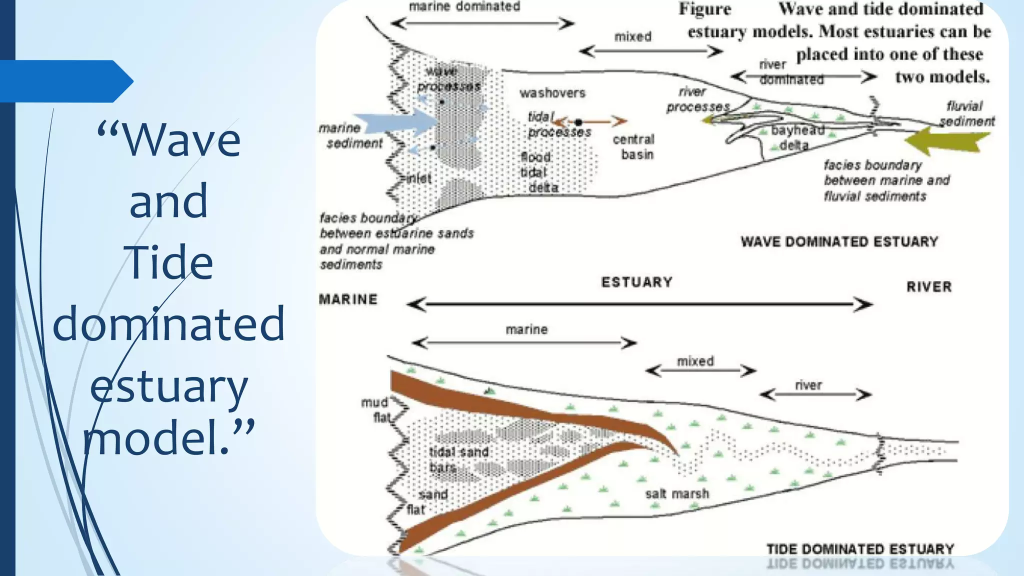 “Wave
and
Tide
dominated
estuary
model.”
 