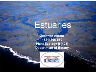 Estuaries
Zeeshan Akram
15211506-050
Plant Ecology-II (403)
Department of Botany
 