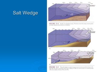 Salt Wedge
 