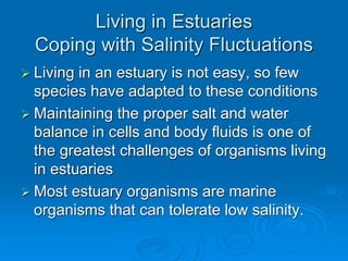 Living in Estuaries
Coping with Salinity Fluctuations
 Living in an estuary is not easy, so few
species have adapted to these conditions
 Maintaining the proper salt and water
balance in cells and body fluids is one of
the greatest challenges of organisms living
in estuaries
 Most estuary organisms are marine
organisms that can tolerate low salinity.
 