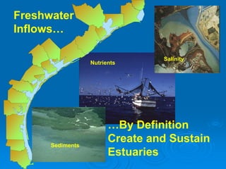 Freshwater
Inflows…
Salinity
Nutrients
Sediments
…By Definition
Create and Sustain
Estuaries
 