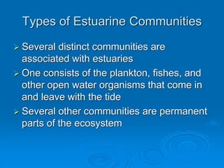 Types of Estuarine Communities
 Several distinct communities are
associated with estuaries
 One consists of the plankton, fishes, and
other open water organisms that come in
and leave with the tide
 Several other communities are permanent
parts of the ecosystem
 