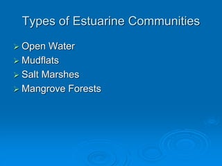  Open Water
 Mudflats
 Salt Marshes
 Mangrove Forests
Types of Estuarine Communities
 