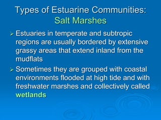  Estuaries in temperate and subtropic
regions are usually bordered by extensive
grassy areas that extend inland from the
mudflats
 Sometimes they are grouped with coastal
environments flooded at high tide and with
freshwater marshes and collectively called
wetlands
Types of Estuarine Communities:
Salt Marshes
 