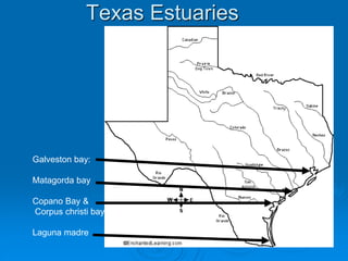 Texas Estuaries
Galveston bay:
Matagorda bay
Copano Bay &
Corpus christi bay
Laguna madre
 