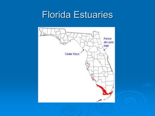 Florida Estuaries
 