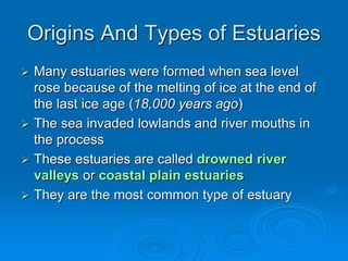 Many estuaries were formed when sea level
rose because of the melting of ice at the end of
the last ice age (18,000 years ago)
 The sea invaded lowlands and river mouths in
the process
 These estuaries are called drowned river
valleys or coastal plain estuaries
 They are the most common type of estuary
Origins And Types of Estuaries
 