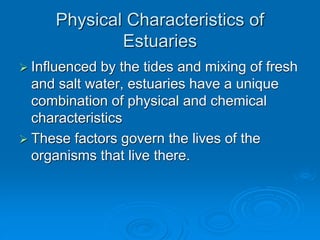 Physical Characteristics of
Estuaries
 Influenced by the tides and mixing of fresh
and salt water, estuaries have a unique
combination of physical and chemical
characteristics
 These factors govern the lives of the
organisms that live there.
 
