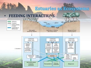 • FEEDING INTERACTIONS
 