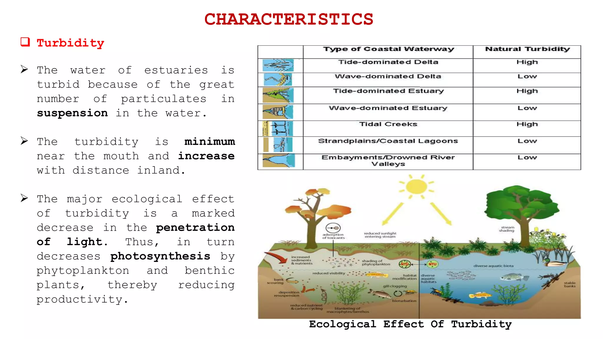  The water of estuaries is
turbid because of the great
number of particulates in
suspension in the water.
 The turbidity is minimum
near the mouth and increase
with distance inland.
 The major ecological effect
of turbidity is a marked
decrease in the penetration
of light. Thus, in turn
decreases photosynthesis by
phytoplankton and benthic
plants, thereby reducing
productivity.
 Turbidity
CHARACTERISTICS
Ecological Effect Of Turbidity
 