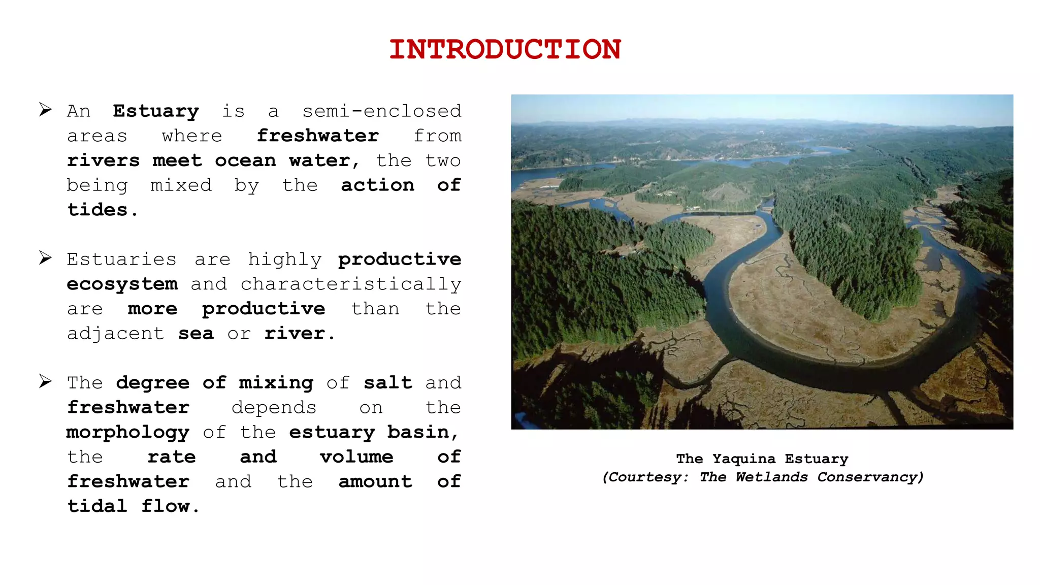 INTRODUCTION
 An Estuary is a semi-enclosed
areas where freshwater from
rivers meet ocean water, the two
being mixed by the action of
tides.
 Estuaries are highly productive
ecosystem and characteristically
are more productive than the
adjacent sea or river.
 The degree of mixing of salt and
freshwater depends on the
morphology of the estuary basin,
the rate and volume of
freshwater and the amount of
tidal flow.
The Yaquina Estuary
(Courtesy: The Wetlands Conservancy)
 