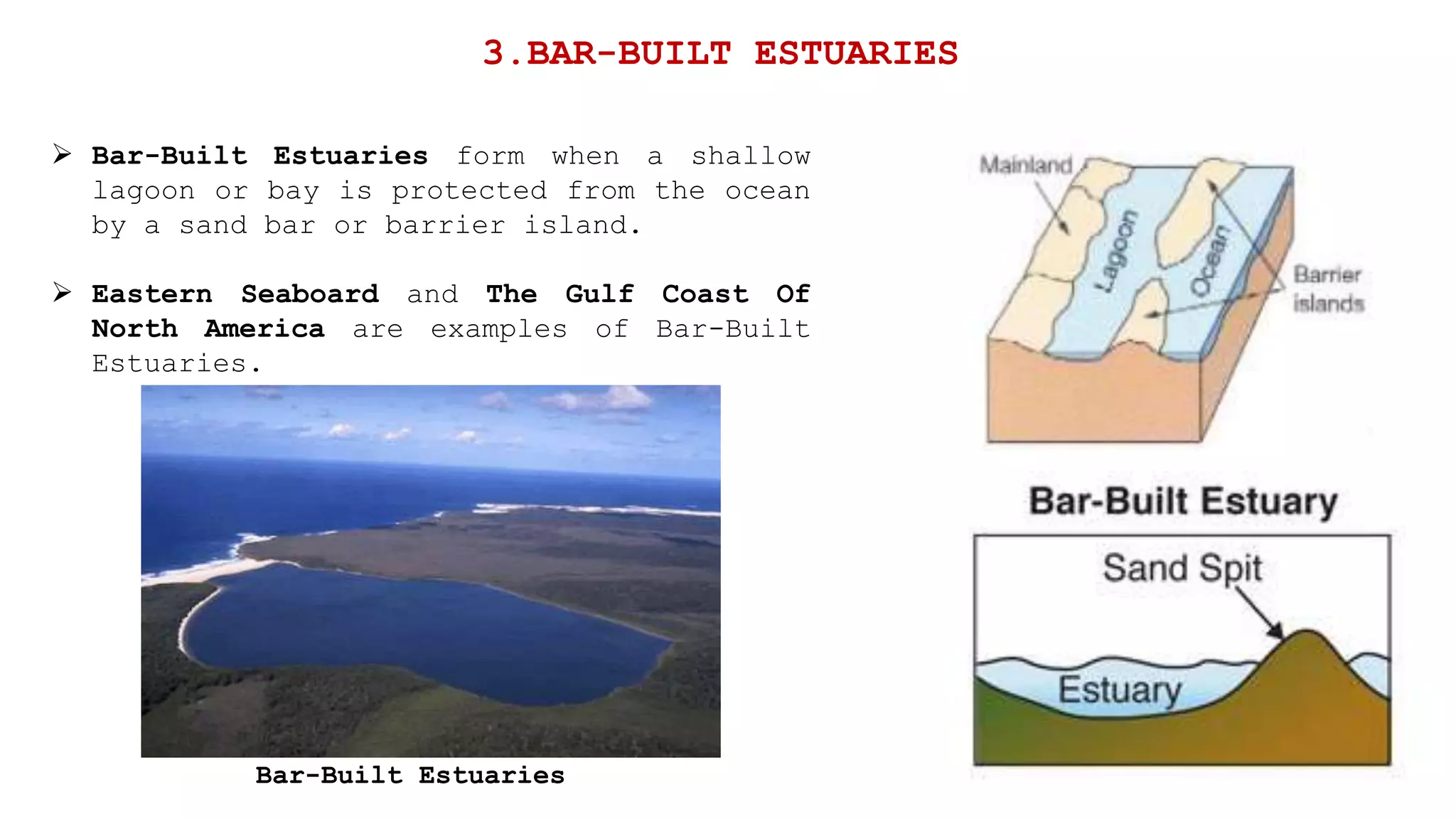  Bar-Built Estuaries form when a shallow
lagoon or bay is protected from the ocean
by a sand bar or barrier island.
 Eastern Seaboard and The Gulf Coast Of
North America are examples of Bar-Built
Estuaries.
3.BAR-BUILT ESTUARIES
Bar-Built Estuaries
 