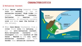  When dense, salty seawater flows
into an estuary, it has an
estuarine current. High tides can
create estuarine currents.
Saltwater is heavier than
freshwater, so estuarine currents
sink and move near the bottom of
the estuary.
 When less-dense freshwater from a
river flows into the estuary, it
has an anti-estuarine current.
Anti-estuarine currents are
strongest near the surface of the
water . Heated by the sun, anti-
estuarine currents are much
warmer than estuarine currents.
 Estuarine Current
CHARACTERISTICS
 
